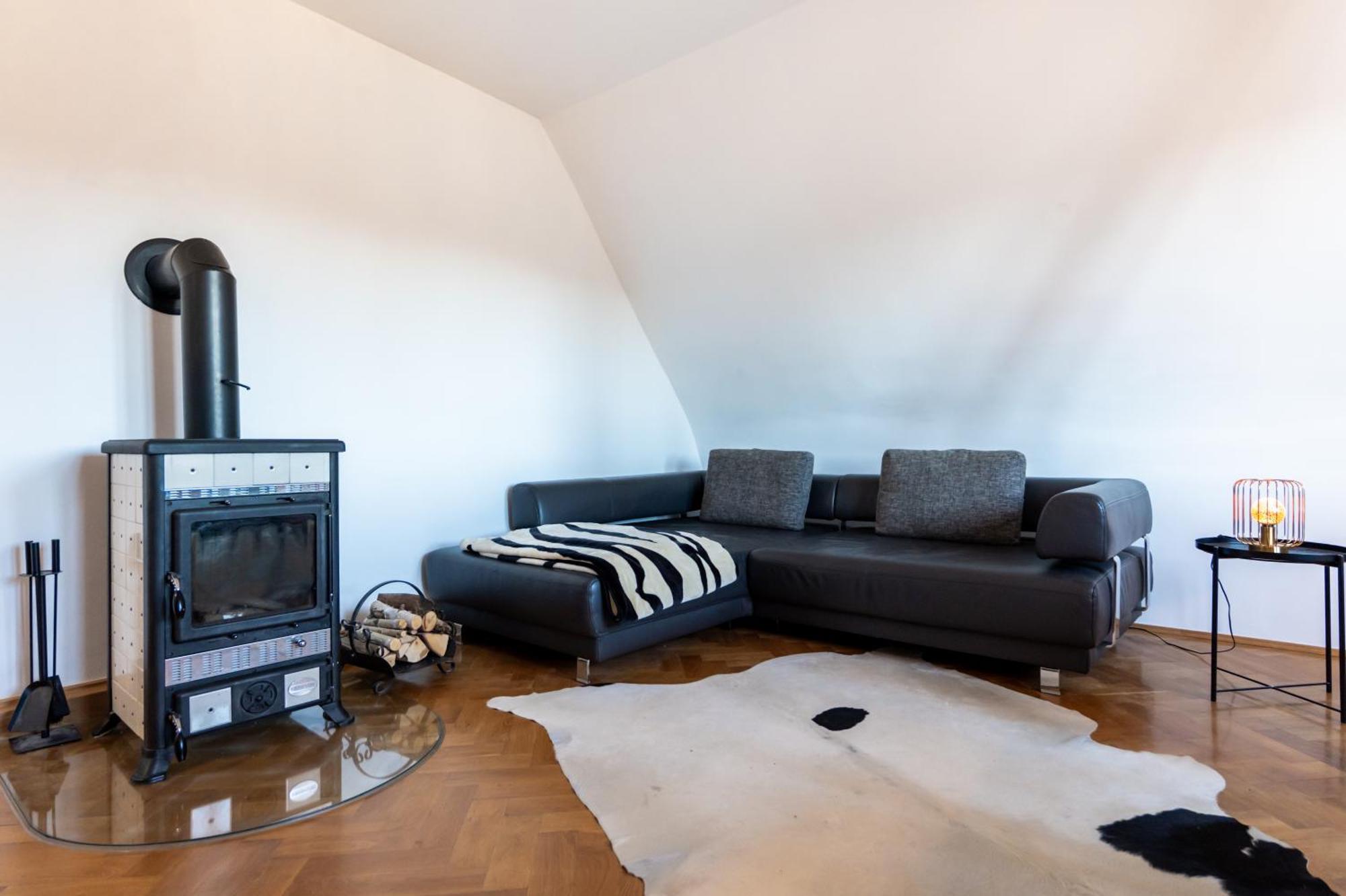 Doppelhaus- Villa Leipzig Schleussig , Moderner Altbau Apartment Dachetage Mit 2 Schlafzimmern Und Separatem Zusatzzimmer , Parkplatz - Balkon - Kamin - Eicheparkett - Arbeitsplatz Dış mekan fotoğraf